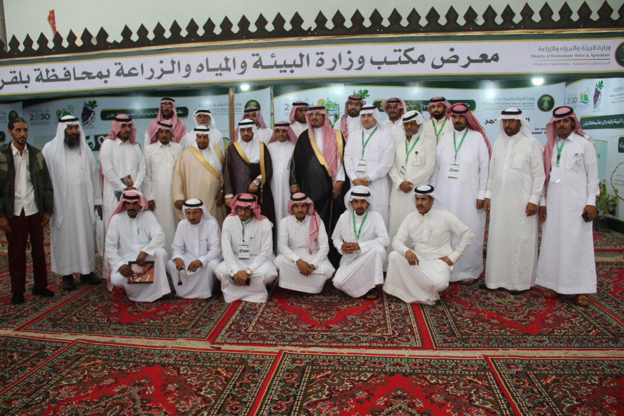 المهرجانات